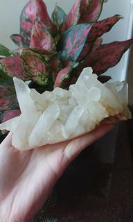 （分類：）位於 。 由 crystal_aurora 提交（商品編號 1059918011，圖片 1）。簡介： 。