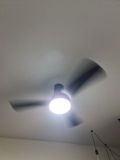 (Category: ) located in . Submitted by dippy123 (Listing ID 1059909800, Image 1). Description: .