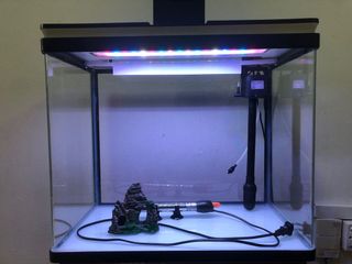 (Category: ) located in . Submitted by darani (Listing ID 1059817305, Image 1). Description: .