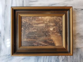(Category: ) located in . Submitted by chicman (Listing ID 1059854608, Image 1). Description: .
