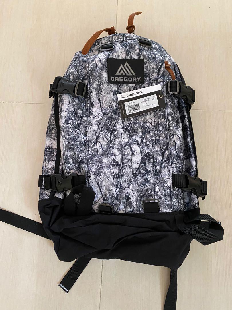 Gregory day shop pack 22l
