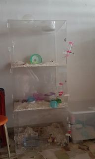 (Category: ) located in . Submitted by kinakaka (Listing ID 1059834507, Image 1). Description: .