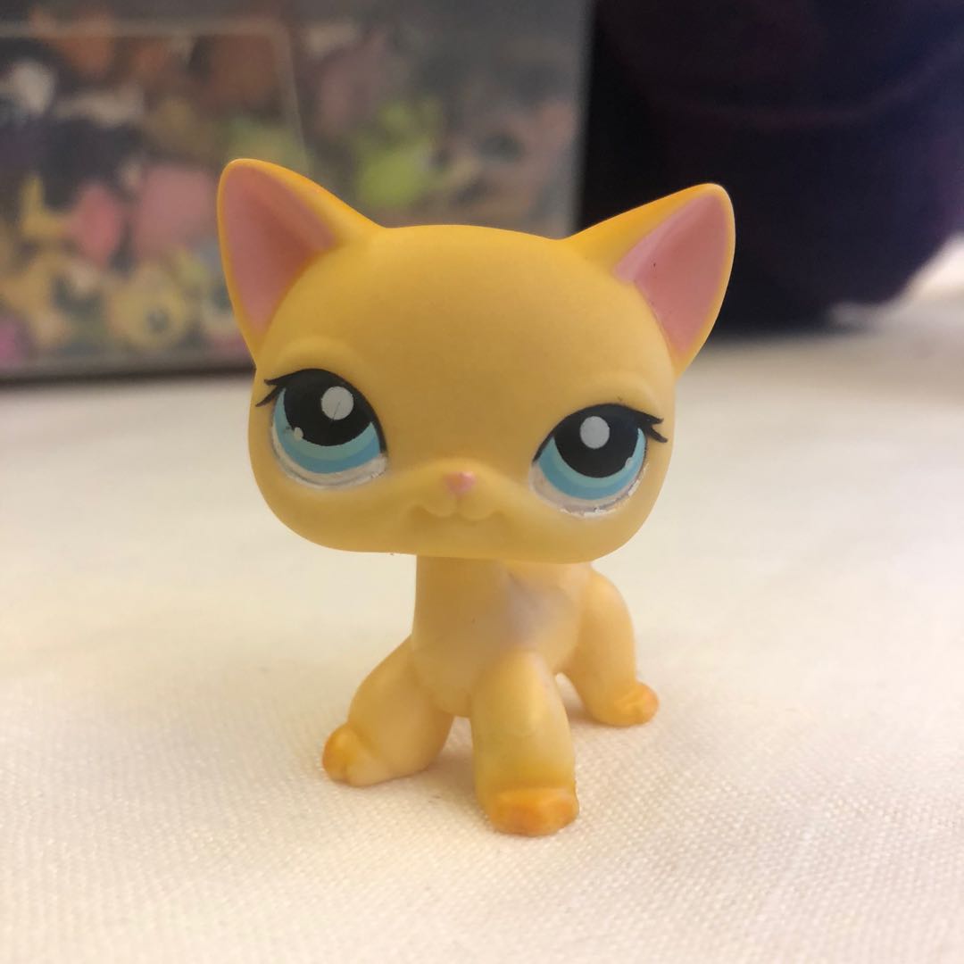 littlest pet shop 635