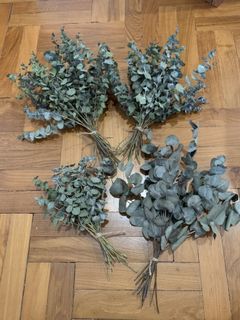 (Category: ) located in . Submitted by lilflowerroom (Listing ID 1059786470, Image 1). Description: .