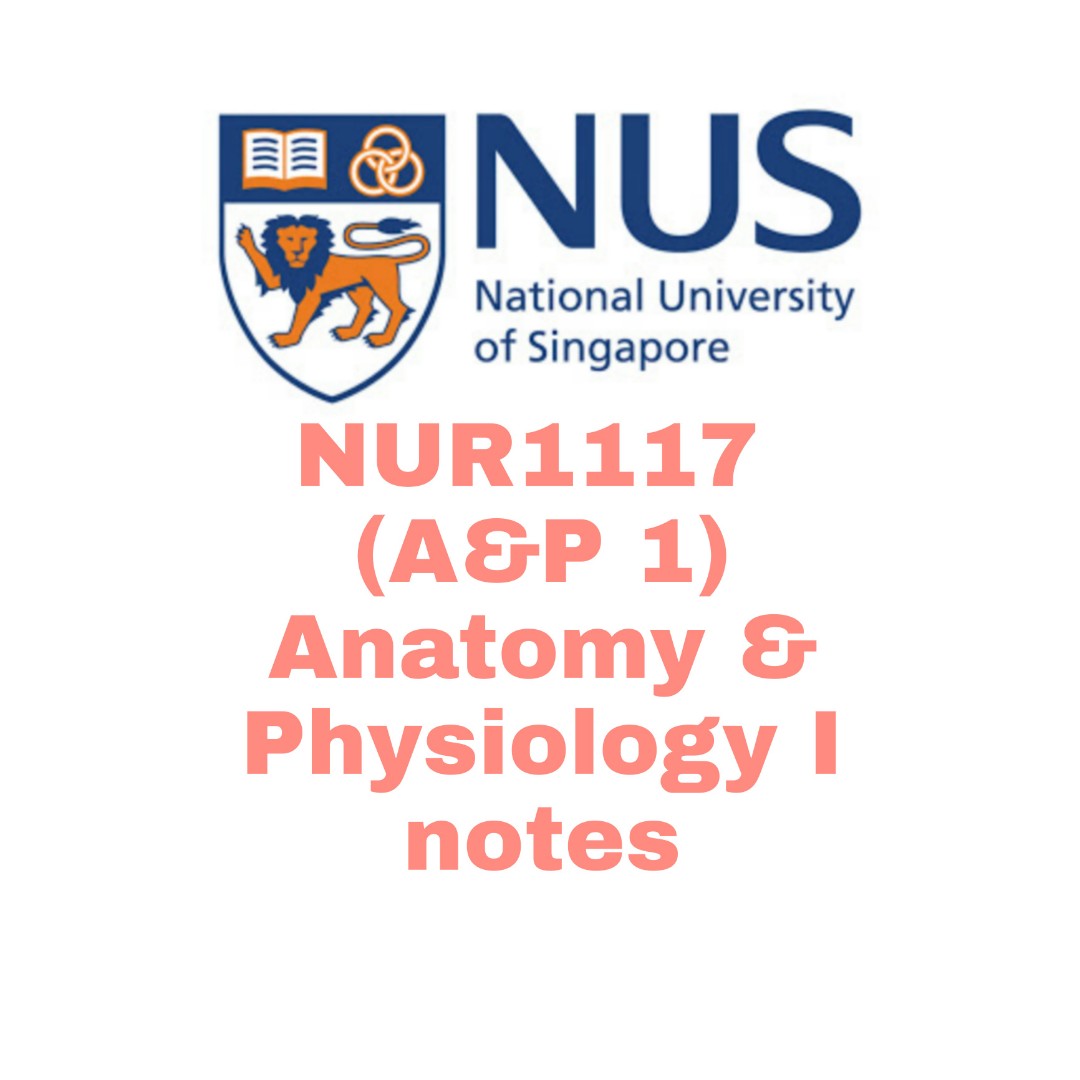 Nus Nursing Notes Anatomy And Physiology I Nur1117 Hobbies Toys Books Magazines Assessment Books On Carousell