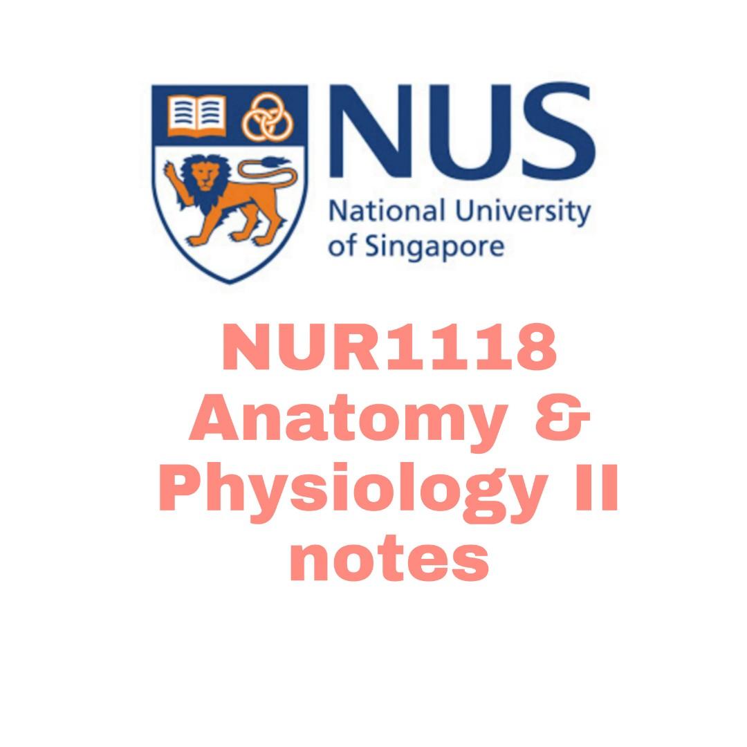 Nus Nursing Notes Nur1118 Anatomy And Physiology Ii Hobbies Toys Books Magazines Assessment Books On Carousell