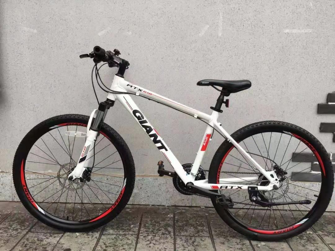 Second hand 2025 giant mountain bikes