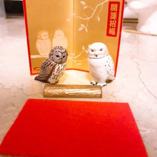 （分類：）位於 。 由 chill.chilli 提交（商品編號 1059916872，圖片 1）。簡介： 。