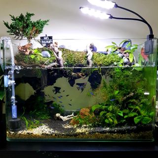 (Category: ) located in . Submitted by aidilistic (Listing ID 1061794718, Image 1). Description: .
