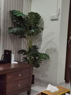 Artificial Plant / Tree