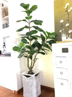 (Category: ) located in . Submitted by catchard (Listing ID 1061796023, Image 1). Description: .