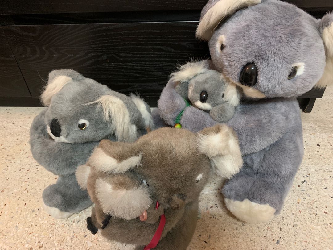 koala cuddly toy