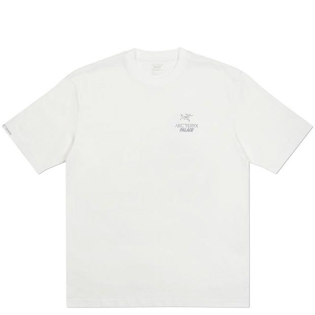 Palace Arcteryx T-Shirt White - Small Medium, Men's Fashion, Tops ...