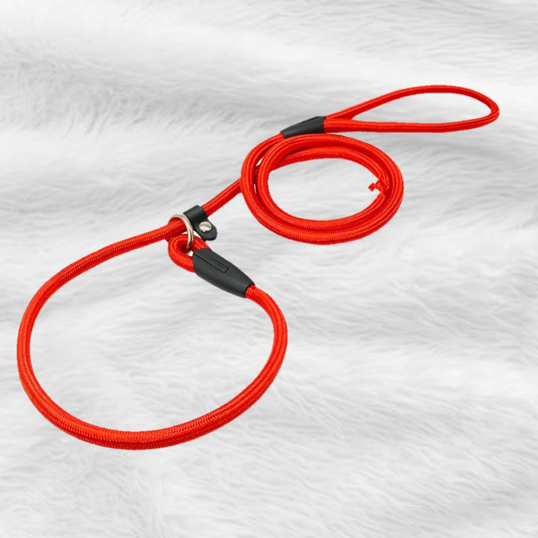 P leash on sale