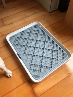 （分類：）位於 。 由 ugooeva 提交（商品編號 1061799248，圖片 1）。簡介： 。