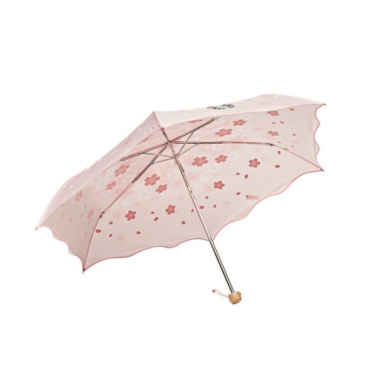 StarBucks Korea House Umbrella(希少品)（[Rare] Starbucks Korea 