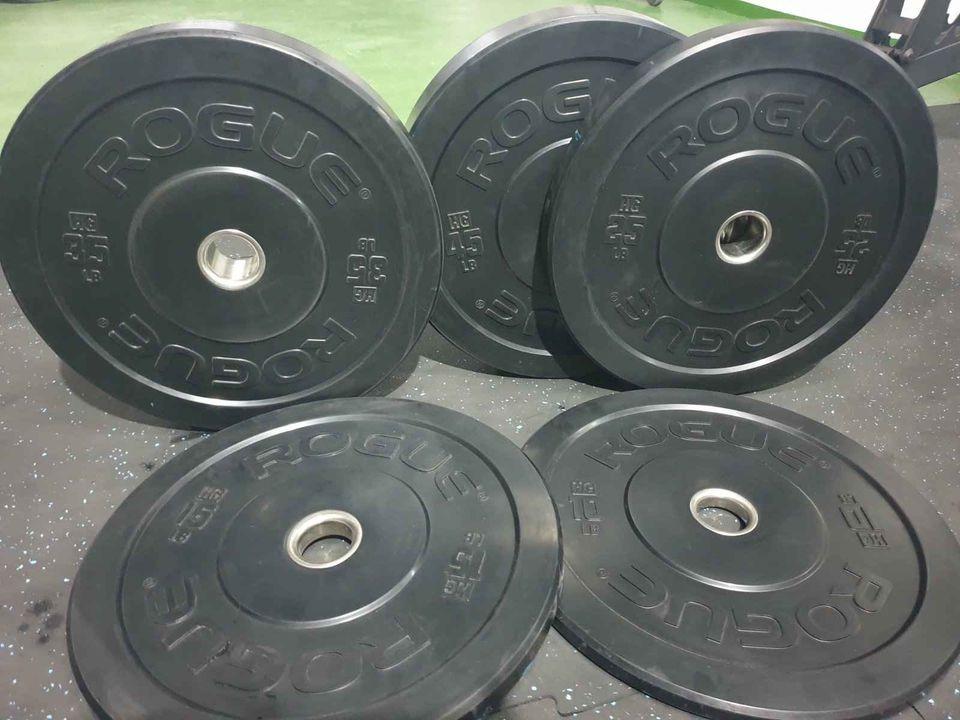 Rogue hg 2.0 kg bumper plates sale
