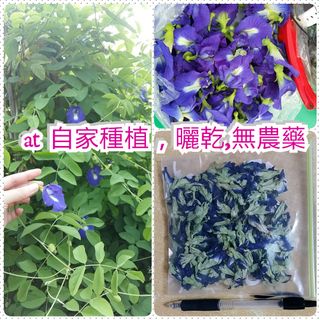 （分類：）位於 。 由 dreaminglavender 提交（商品編號 1062110384，圖片 1）。簡介： 。