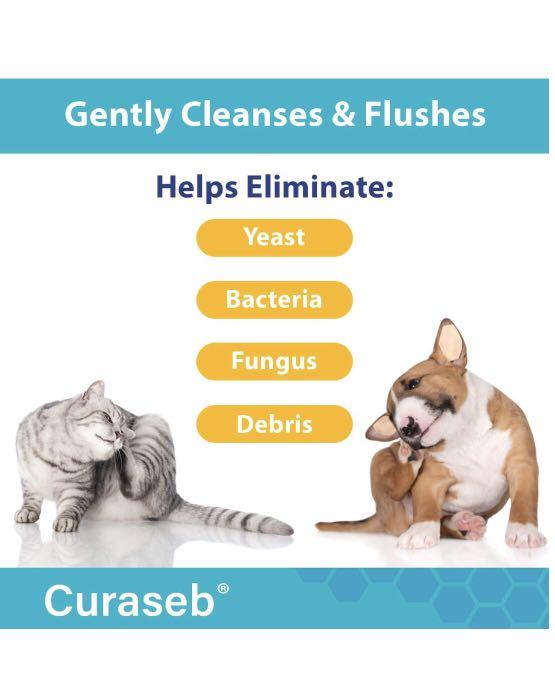 Curaseb dog ear infection new arrivals