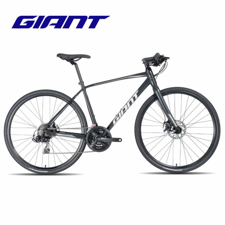 giant mountain bike grey
