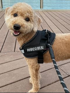 (Category: ) located in . Submitted by petcuddlesg (Listing ID 1062017125, Image 1). Description: .
