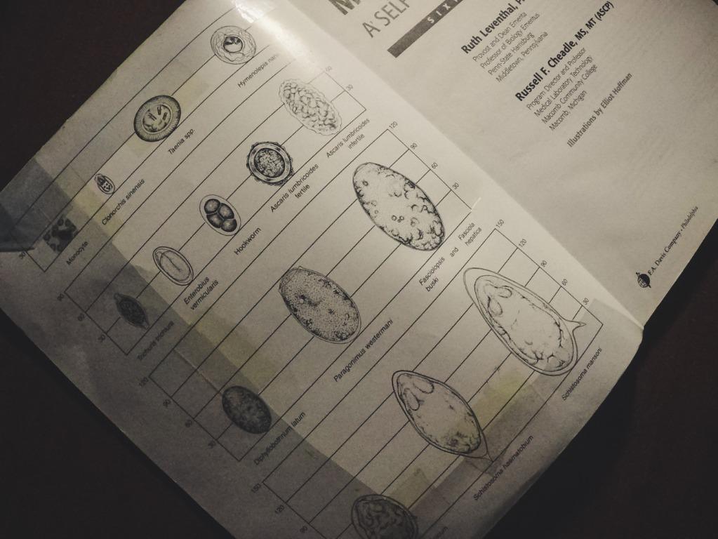 Medical Parasitology A selfInstructional text, Hobbies & Toys, Books