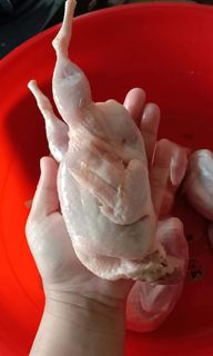(Category: ) located in . Submitted by izempireseafood (Listing ID 1062023114, Image 1). Description: .