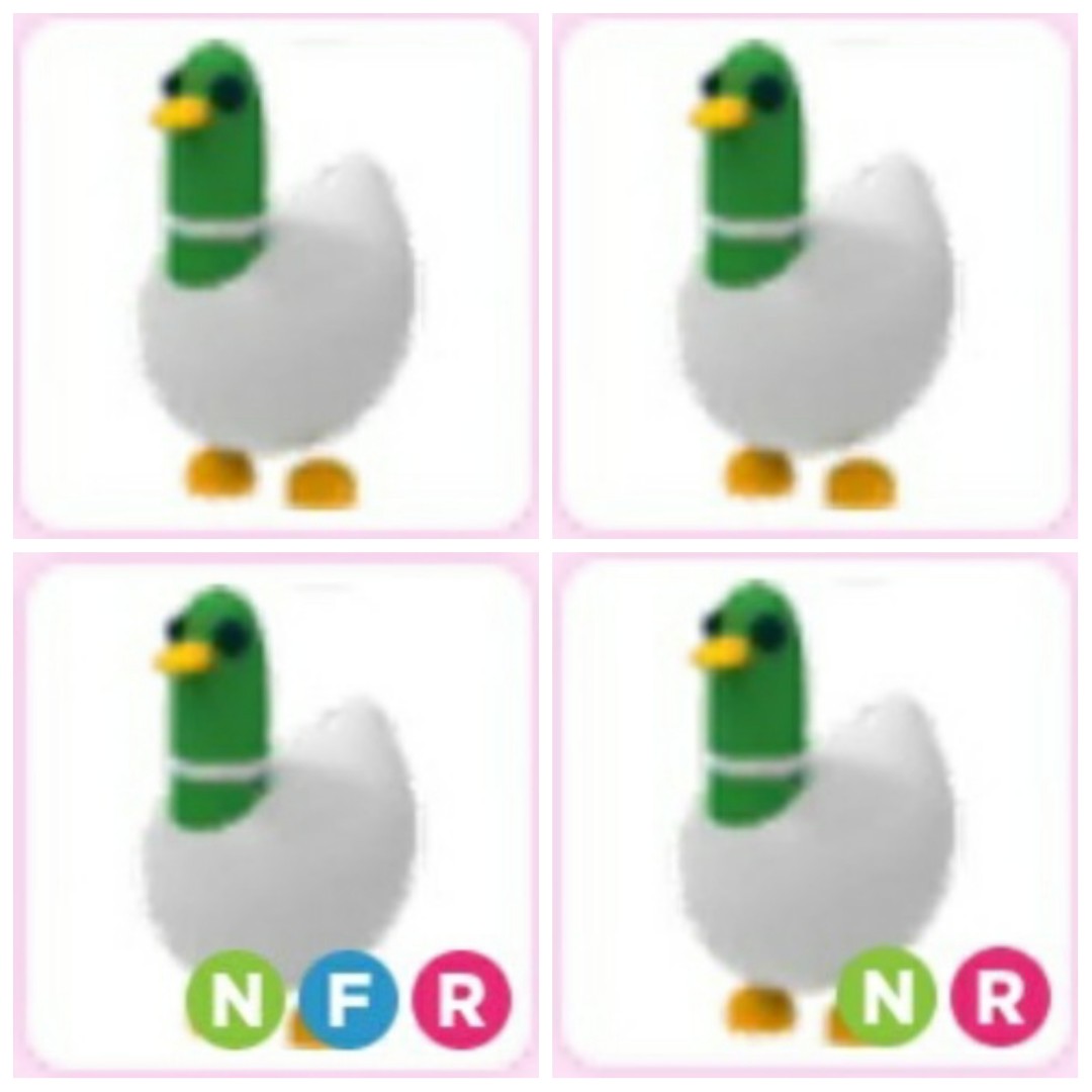 Silly Duck Adopt Me Pet Roblox Video Gaming Gaming Accessories Game Gift Cards Accounts On Carousell - mr duck roblox