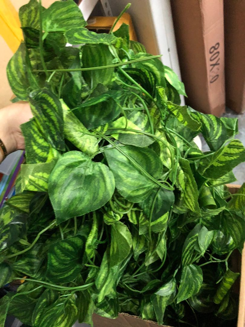 Bulk Faux artificial fake vine creeper, Everything Else on Carousell