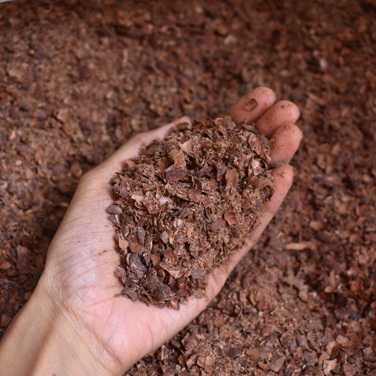 Cacao Husk Fertiliser and Mulch, Furniture & Home Living, Gardening