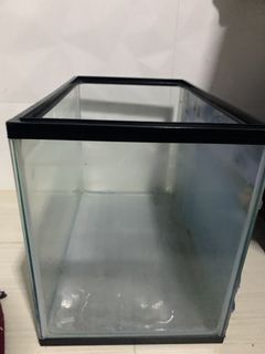 (Category: ) located in . Submitted by hii_98 (Listing ID 1062251053, Image 1). Description: .