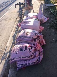 Garden Soil View All Garden Soil Ads In Carousell Philippines