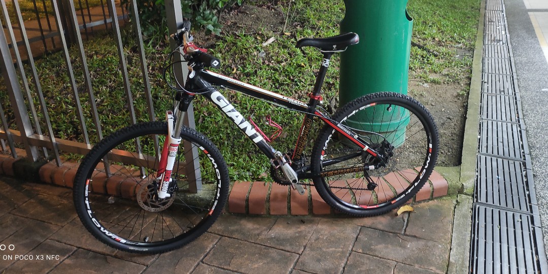 Giant terrago, Sports Equipment 