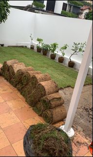 (Category: ) located in . Submitted by eventnlandscape (Listing ID 273118753, Image 1). Description: .
