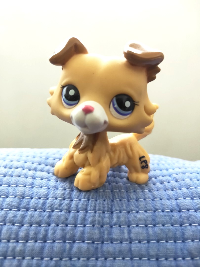 Lps littlest pet shop Collie dog, Hobbies & Toys, Toys & Games on Carousell