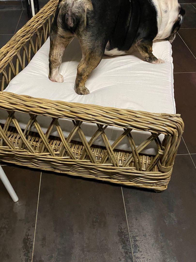 rattan large dog bed