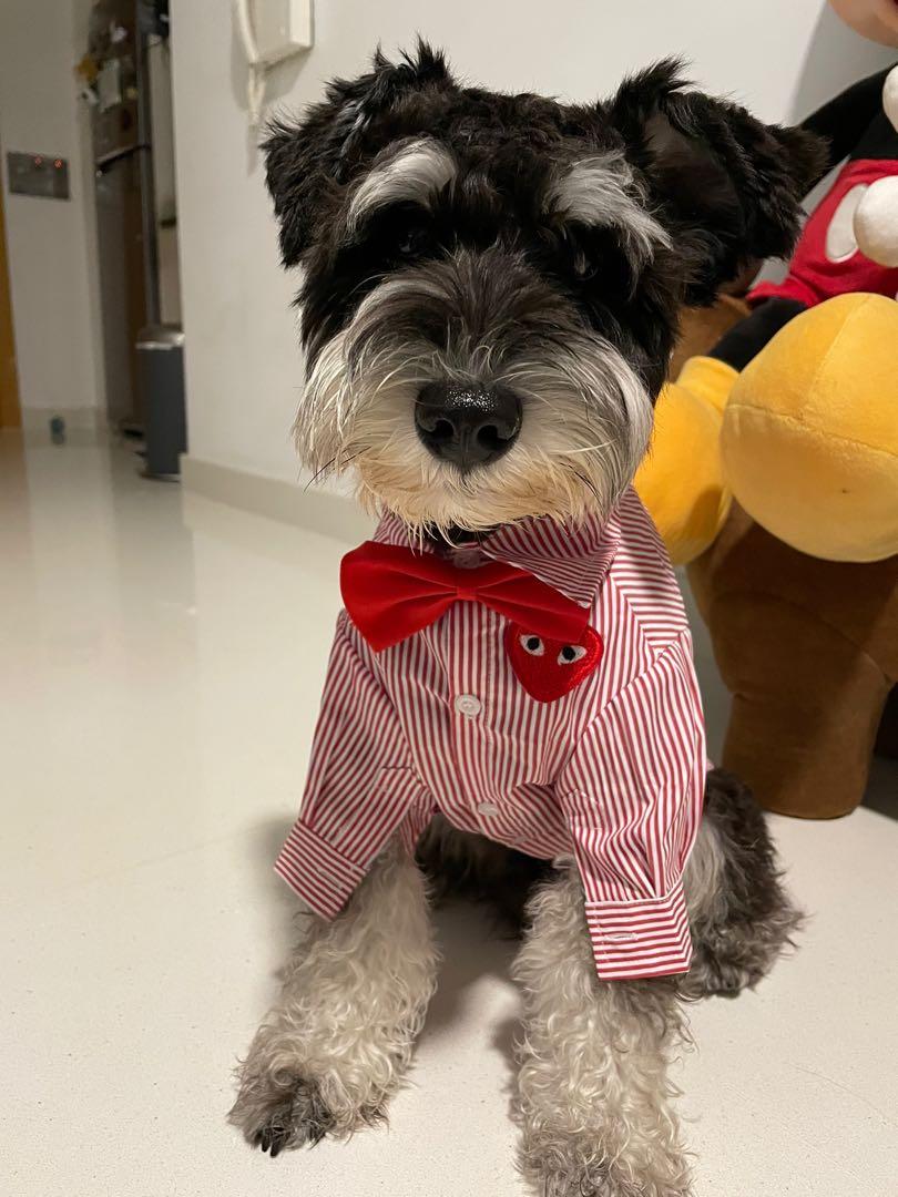 Cdg dog hoodie hotsell