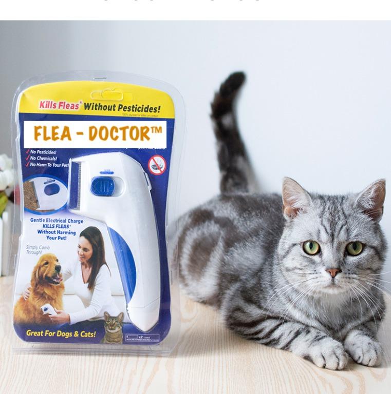Electric comb hot sale cat flea removal