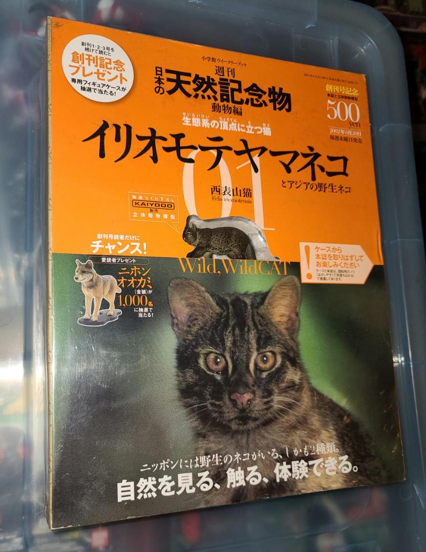 全新日版kaiyoido 海洋堂天然紀念物動物山貓 書本 文具 雜誌及其他 Carousell