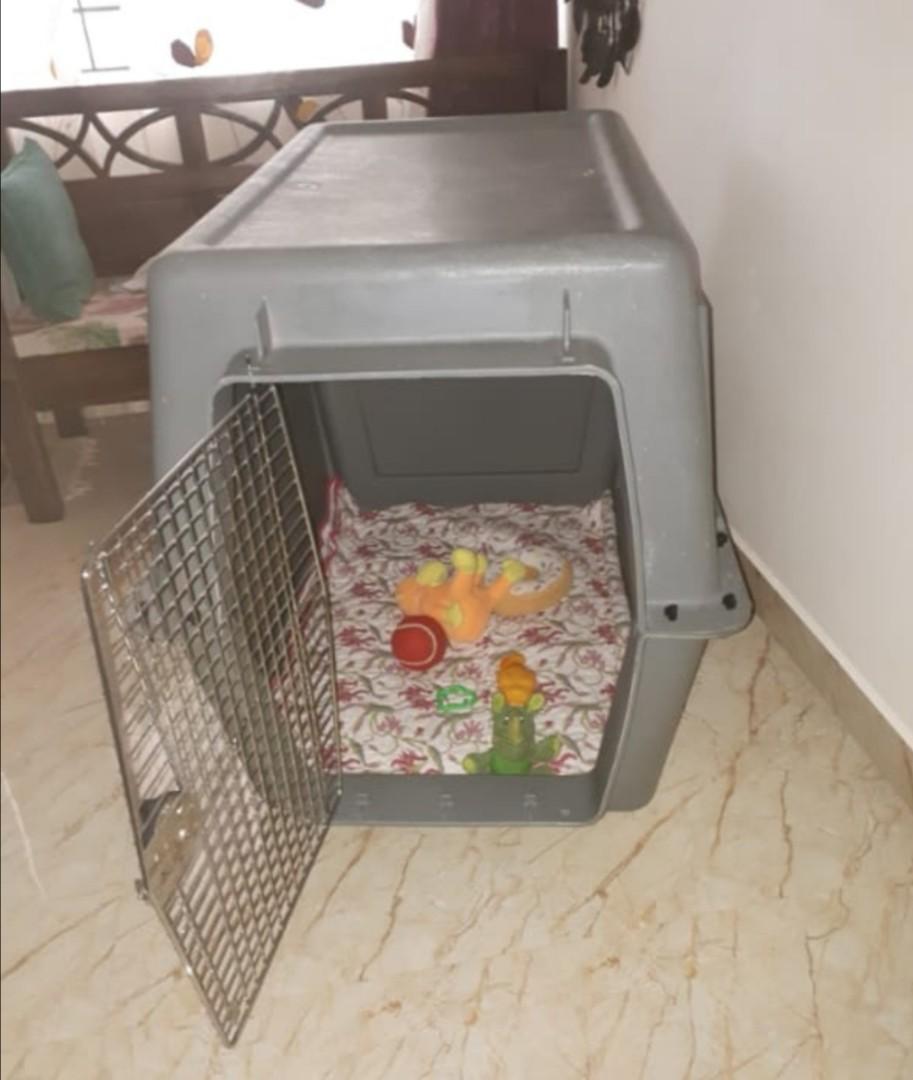 Petmate Sky Kennel 48", Pet Supplies, Homes & Other Pet Accessories on