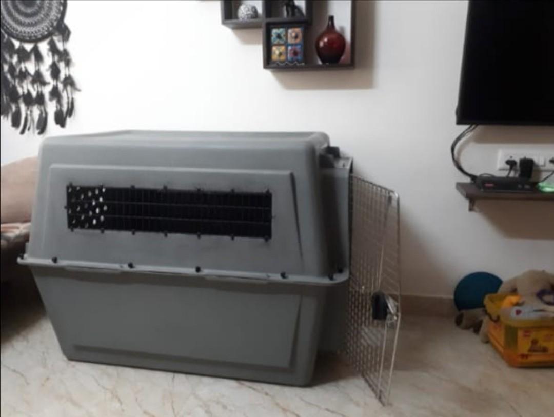 Petmate Sky Kennel 48", Pet Supplies, Homes & Other Pet Accessories on