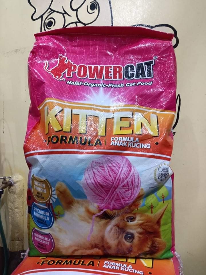 powercat kitten