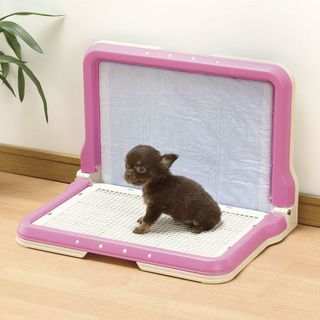 （分類：）位於 。 由 cococococococ 提交（商品編號 1062445386，圖片 1）。簡介： 。