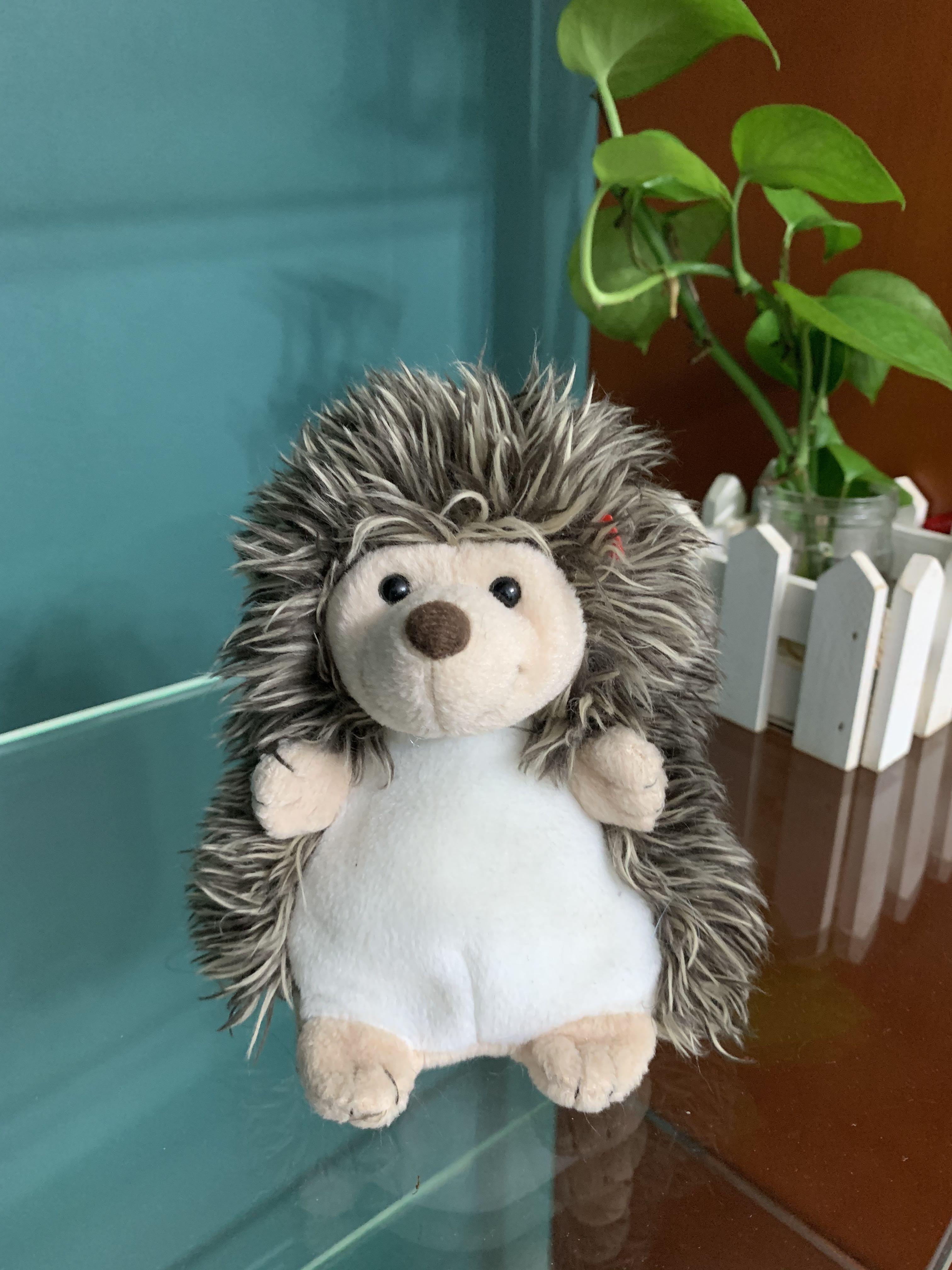 pink hedgehog beanie boo