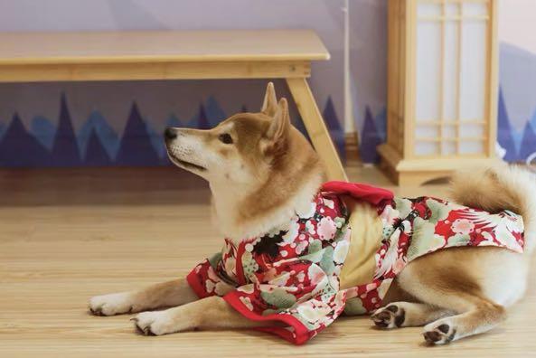 貓貓狗狗日式和服衫紅仙鶴款 寵物用品 寵物衣服 Carousell