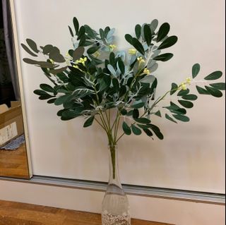(Category: ) located in . Submitted by wildthing.flowers (Listing ID 1062571707, Image 1). Description: .