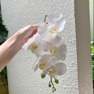 (Category: ) located in . Submitted by wildthing.flowers (Listing ID 1038060314, Image 1). Description: .
