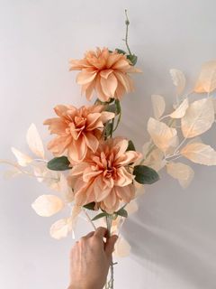 (Category: ) located in . Submitted by wildthing.flowers (Listing ID 1062587183, Image 1). Description: .