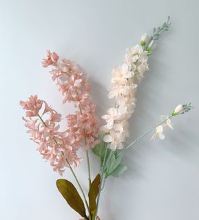 (Category: ) located in . Submitted by wildthing.flowers (Listing ID 1062582881, Image 1). Description: .
