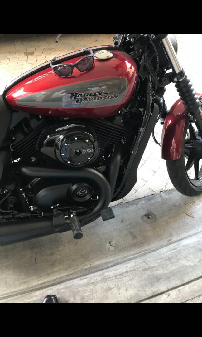 Harley Davidson street 500 for sale Motorbikes Motorbikes for Sale on Carousell